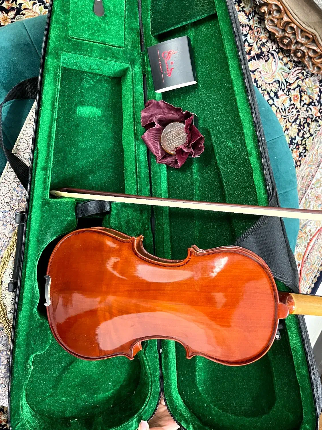 ویولون|ویولن|رفسنجان, |دیوار