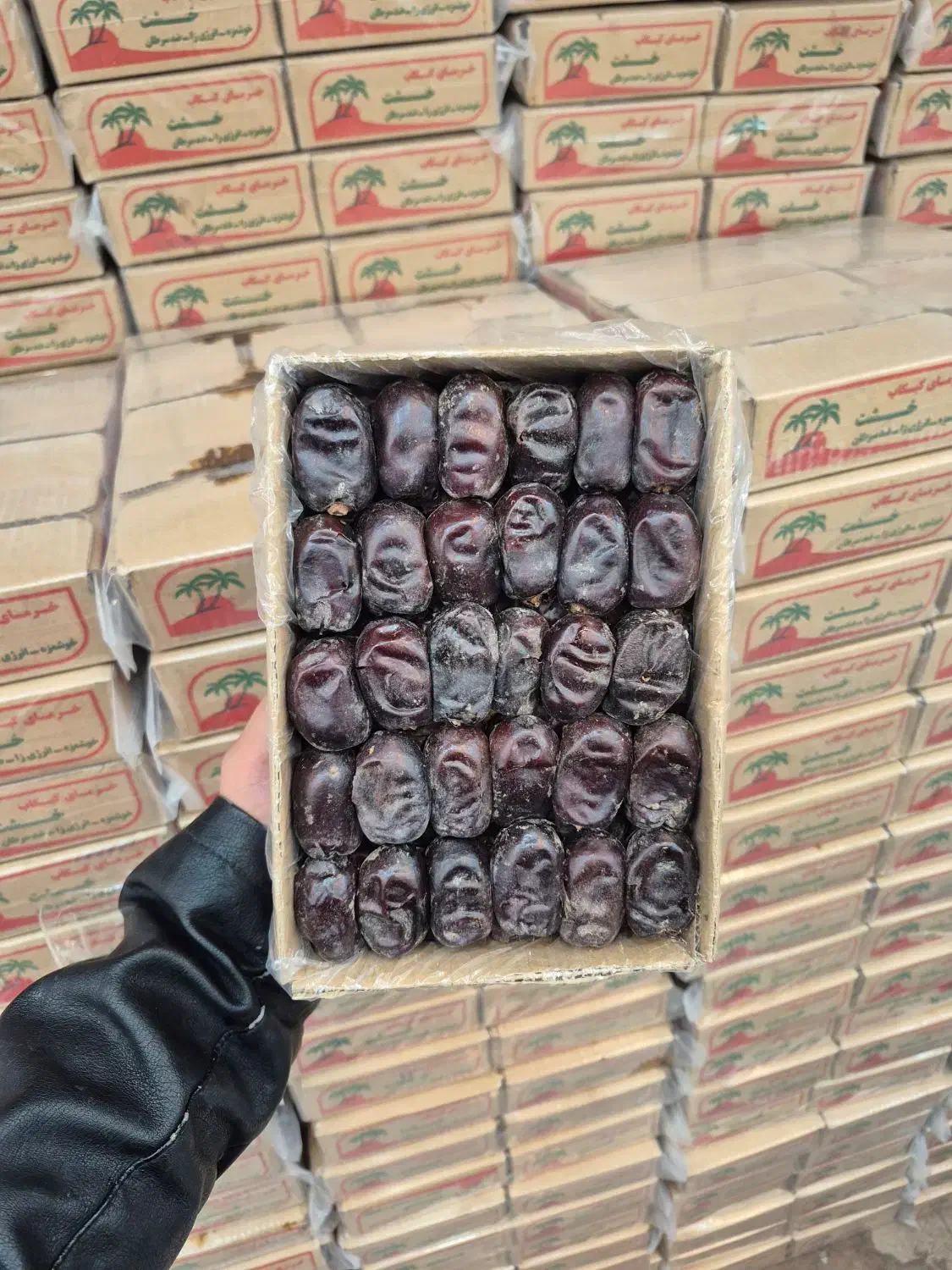 خرما کلوته|خوردنی و آشامیدنی|قم, شهرک سازمان آب|دیوار