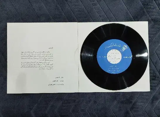 صفحه گرامافون|کلکسیون اشیاء عتیقه|تهران, ستارخان|دیوار