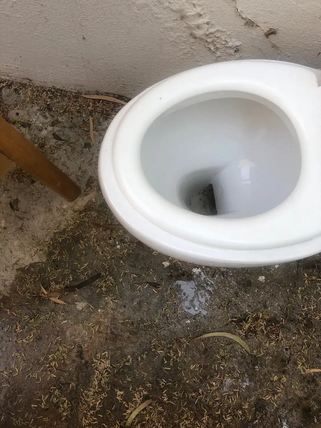 توالت فرنگی|لوازم سرویس بهداشتی|کیش, |دیوار