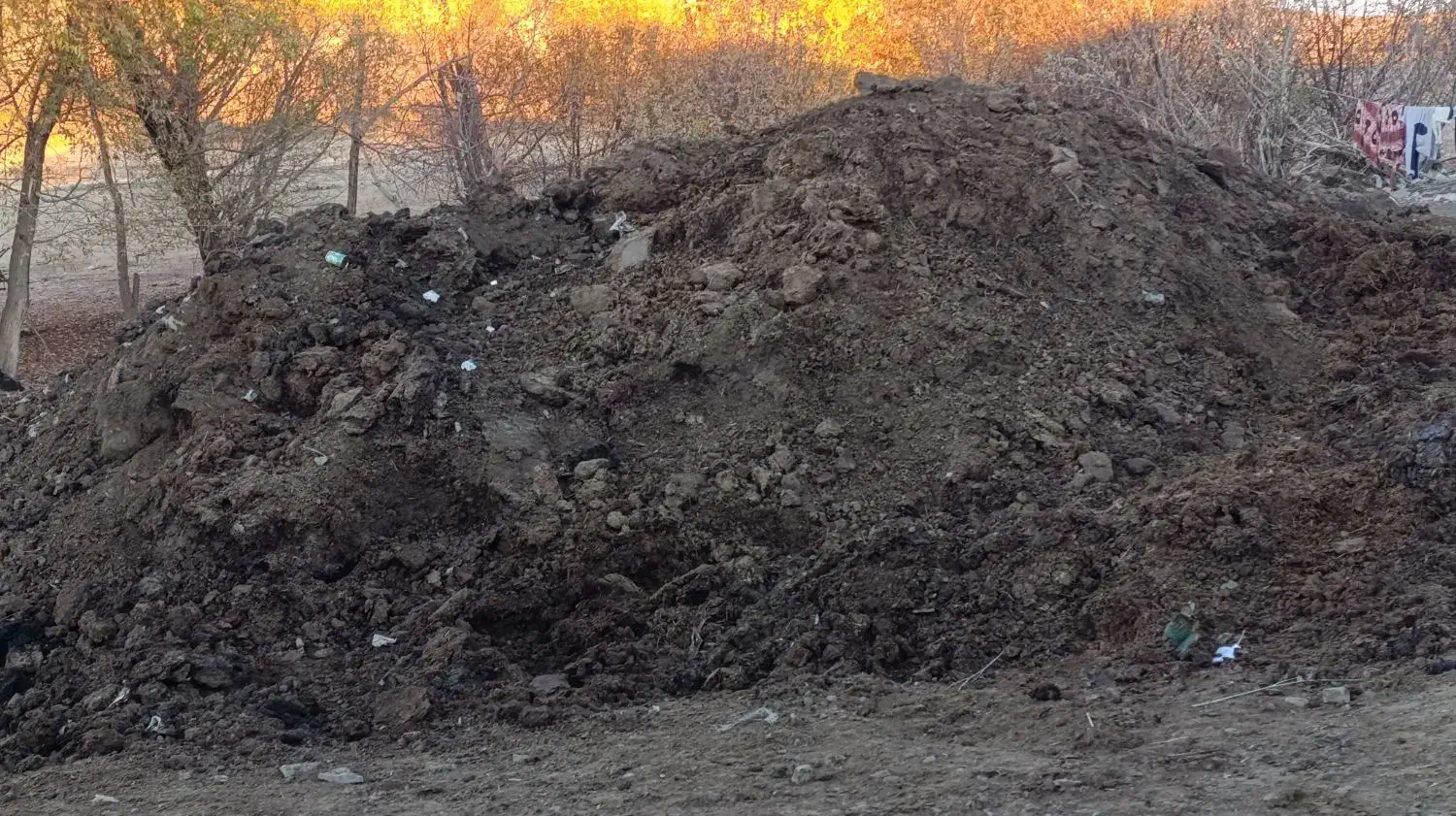 کود حیوانی|خدمات باغبانی و درختکاری|باروق, |دیوار