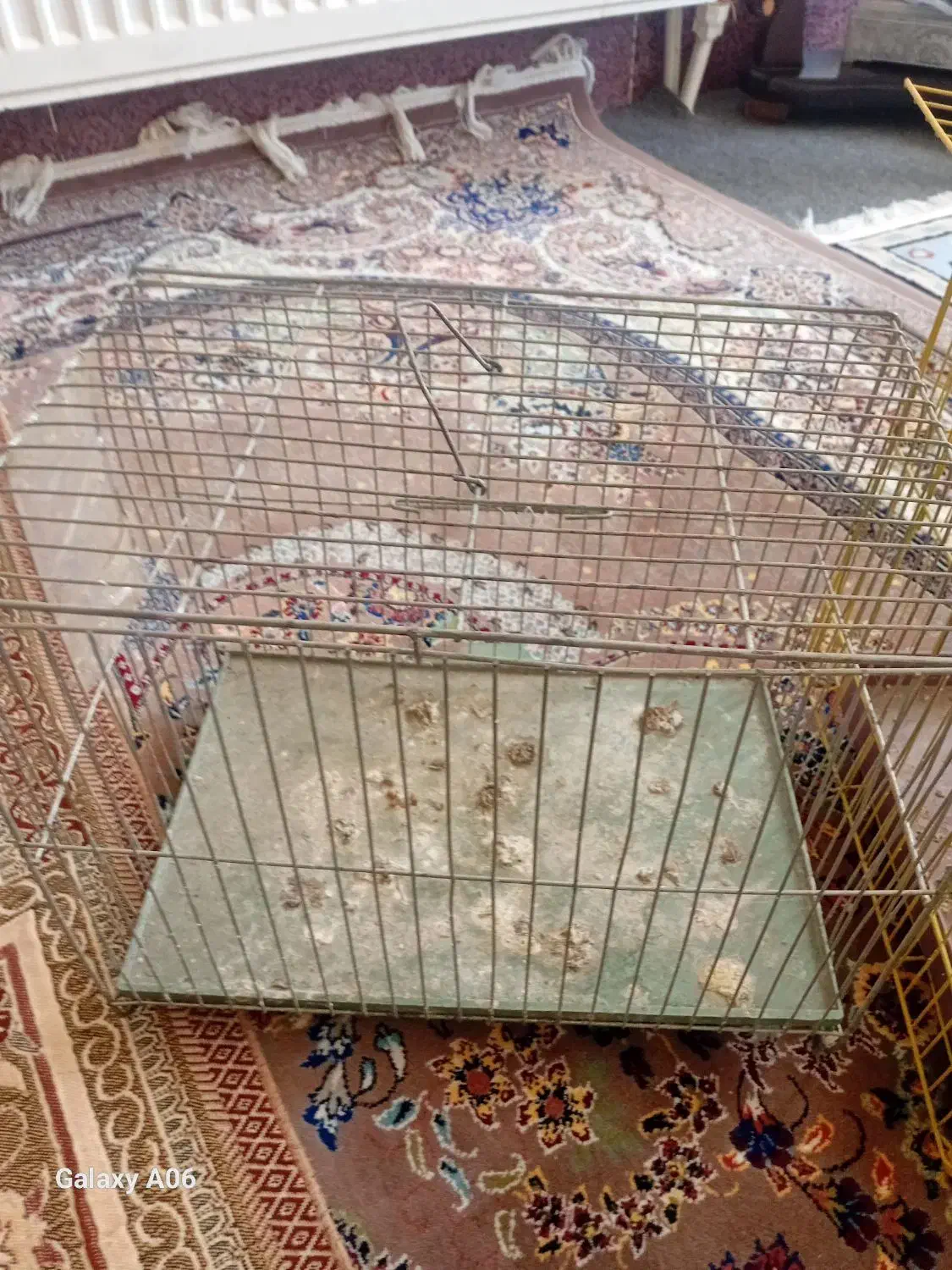 قفس|لوازم جانبی حیوانات|نقده, |دیوار