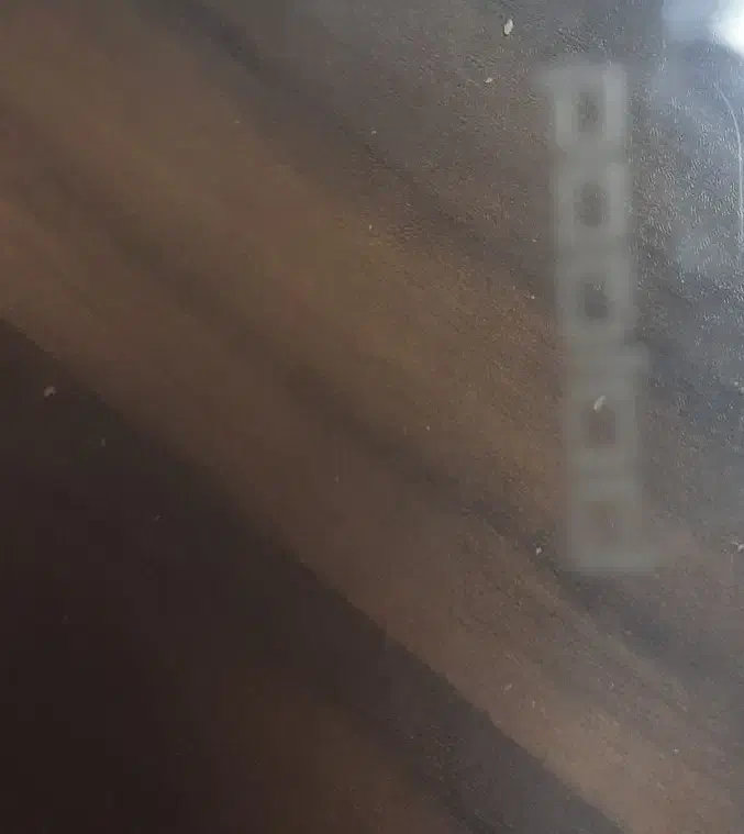 ظرف فریزر و ماکروویو|ظروف نگهدارنده، پلاستیکی، یک‌بارمصرف|تهران, علم و صنعت|دیوار