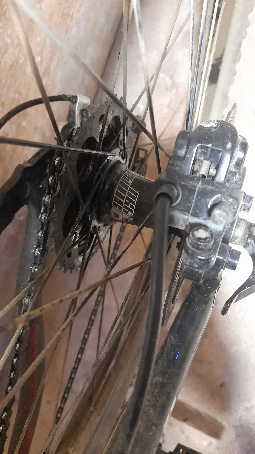 دوچرخه فوجی،کی تی ام،جاینت|دوچرخه، اسکیت، اسکوتر|فردیس, منظریه|دیوار