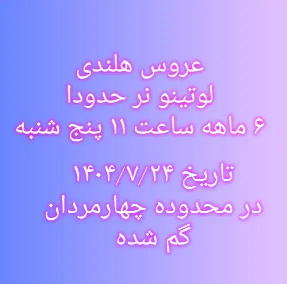 عروس هلندی گم شده|پرنده|قم, سیدان|دیوار
