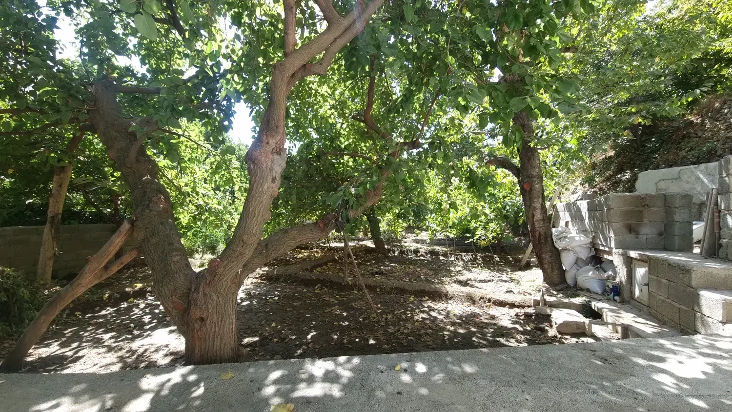 باغچه در روستای سولقان محله بالا|فروش زمین و ملک کلنگی|کن, |دیوار