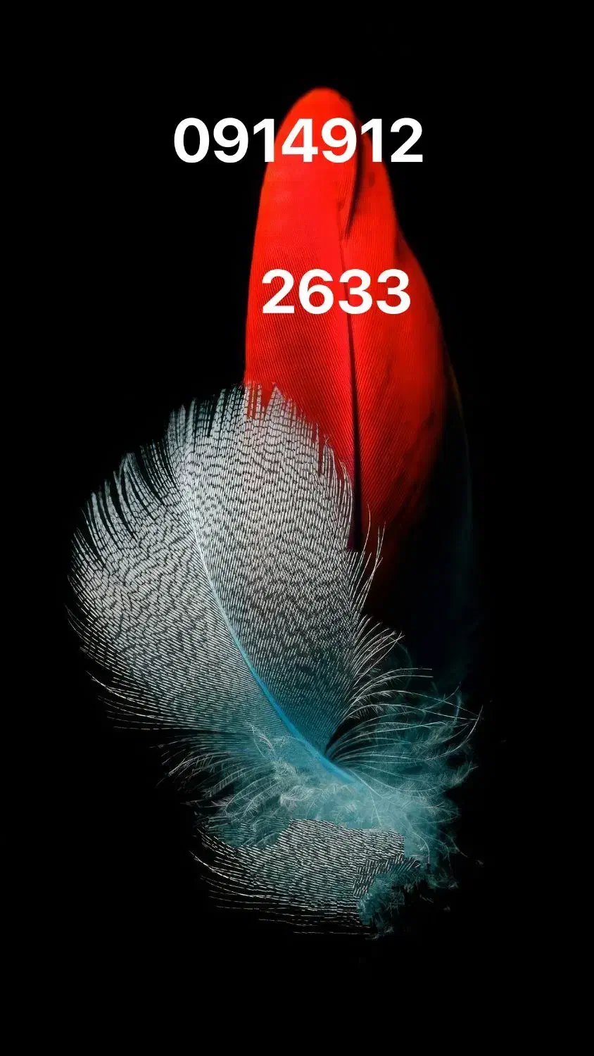 09149122633|سیم‌کارت|تبریز, |دیوار