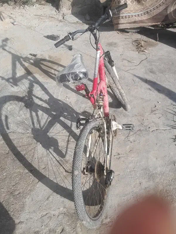 دوچرخه|دوچرخه، اسکیت، اسکوتر|قشم, |دیوار