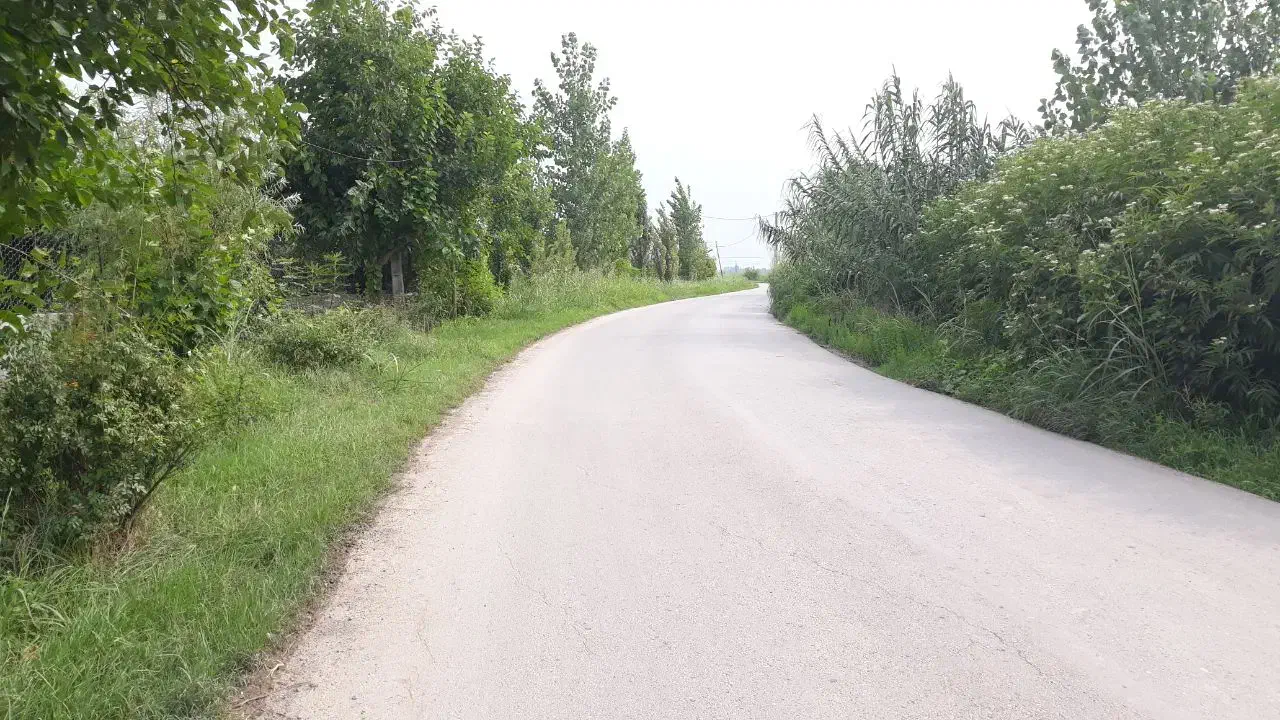 ۲۲۰ متر خونه باغ بین بابل امل احمد چاله پی|فروش زمین و ملک کلنگی|زرگرشهر, |دیوار