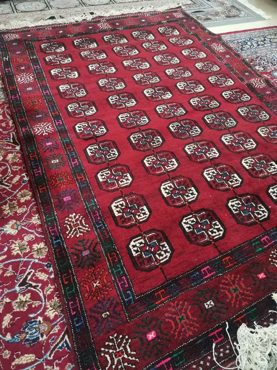 فرش پشمی کاشمر|فرش|مشهد, شهید فرامرز عباسی|دیوار