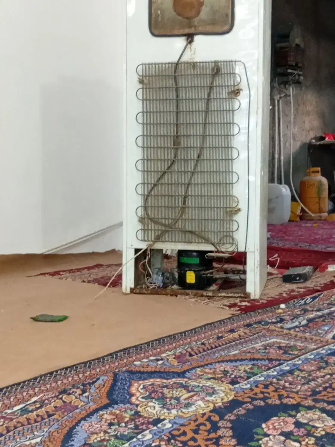 یخچال|یخچال و فریزر|زابل, |دیوار