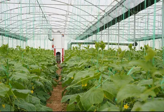 استخدام کارگر تمام وقت در گلخانه|استخدام صنعتی، فنی، مهندسی|قم, بلوار امین و ساحلی|دیوار