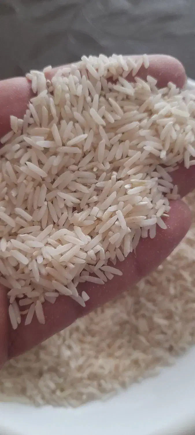 برنج محلی درجه خوش پخت|خوردنی و آشامیدنی|گلپایگان, |دیوار