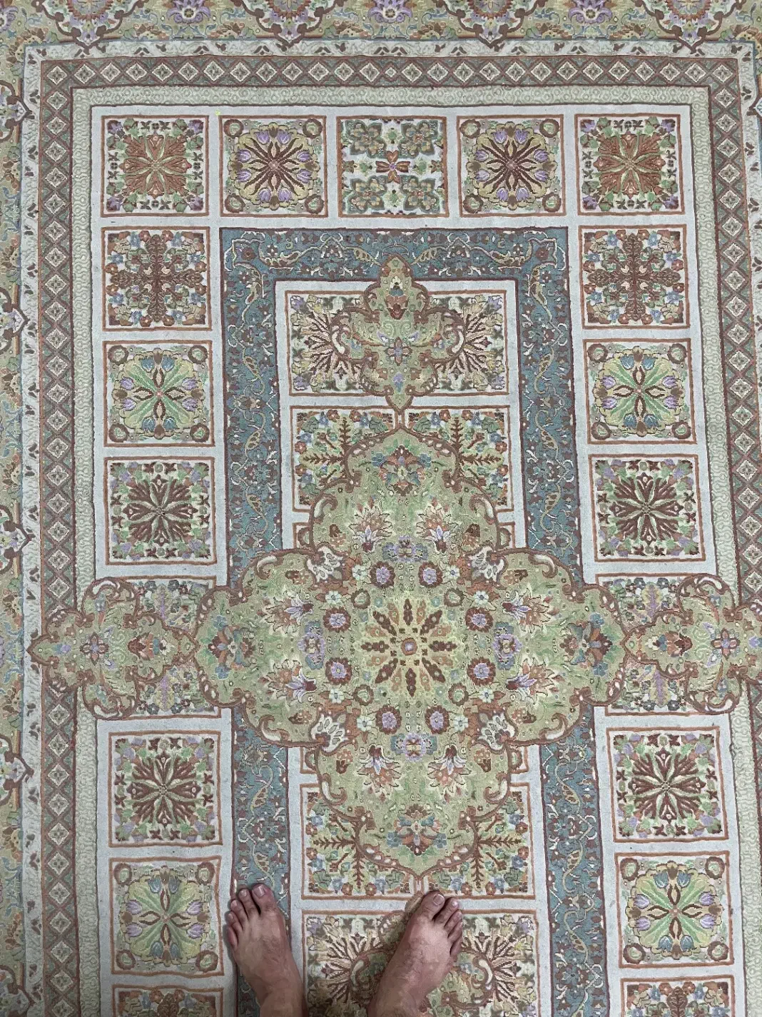 فرش ۹ متری|فرش|مشهد, الهیه|دیوار