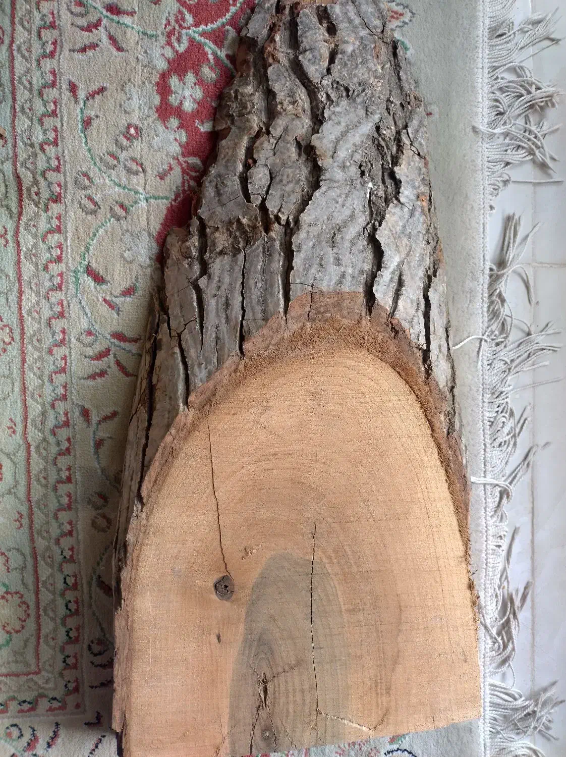 تخته چوب ۵۰ سانتی|مصالح و تجهیزات ساختمان|قم, سعادتی|دیوار