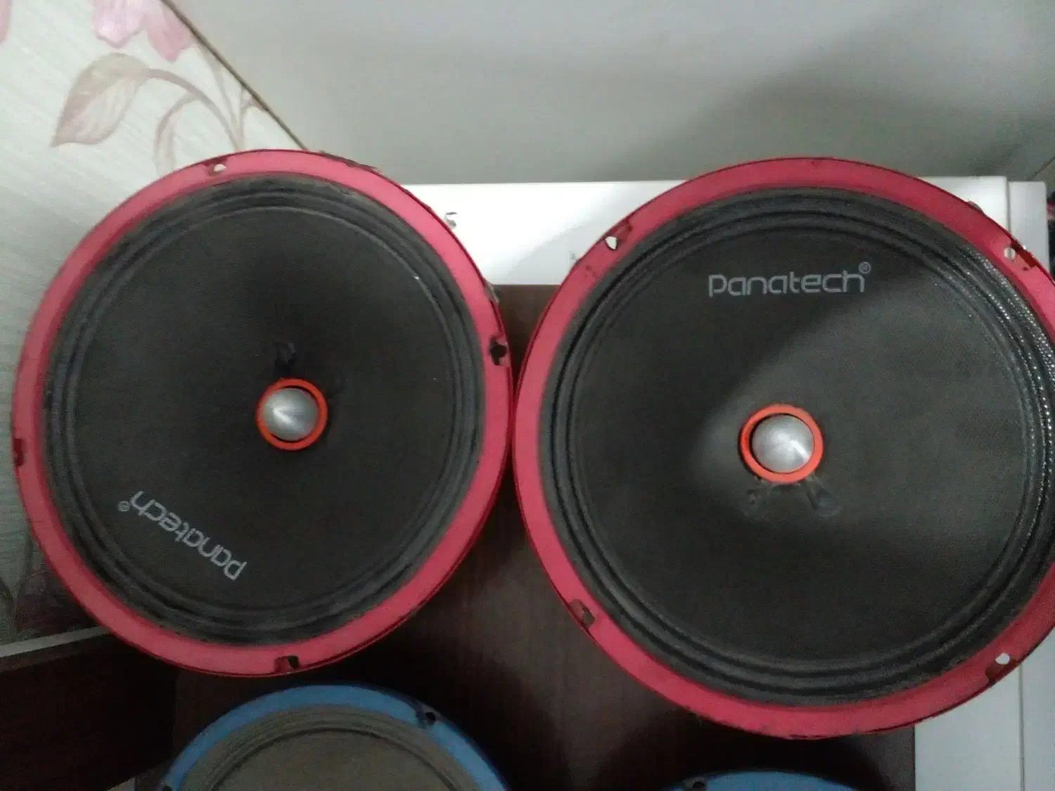 دوعدد میدرنج ۸ پاناتک|صوتی و تصویری|پاکدشت, خاتون آباد|دیوار