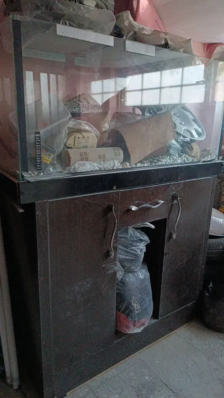 اکواریوم با میزش|ماهی|یزد, |دیوار