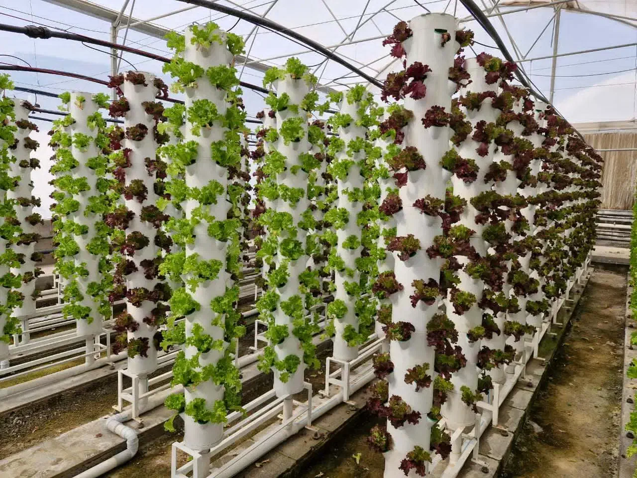 استخدام باغبان و کشاورز|استخدام صنعتی، فنی، مهندسی|جوادآباد, |دیوار