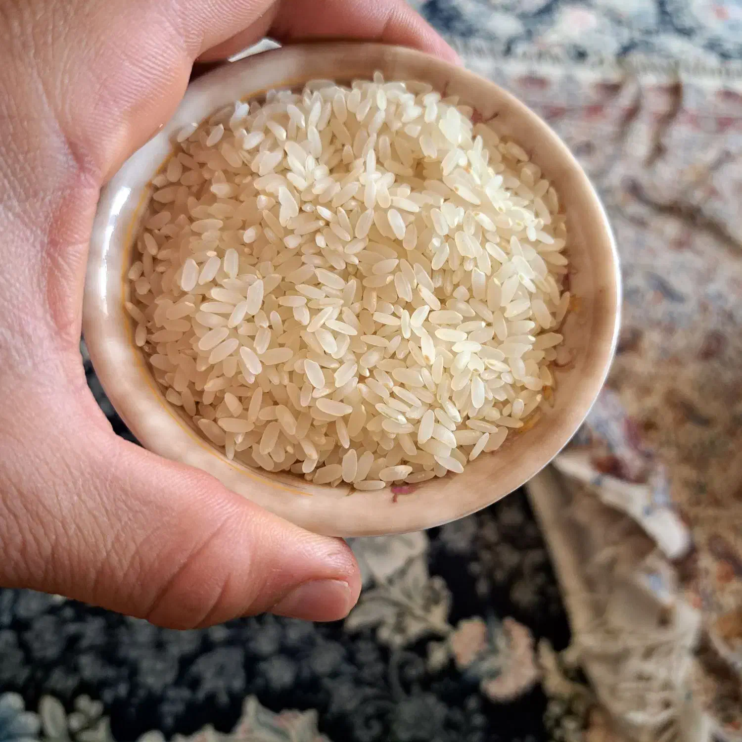 فروش برنج کامفیروزی به شرط|خوردنی و آشامیدنی|کامفیروز, |دیوار