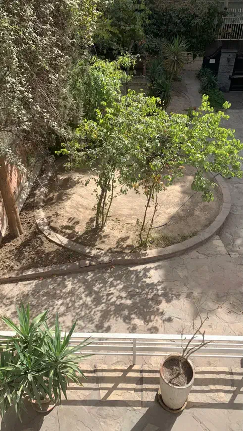 مستغلات ۲۵۰ متر دربست ظفر|اجارهٔ دفتر کار، اتاق اداری، مطب|تهران, ظفر|دیوار