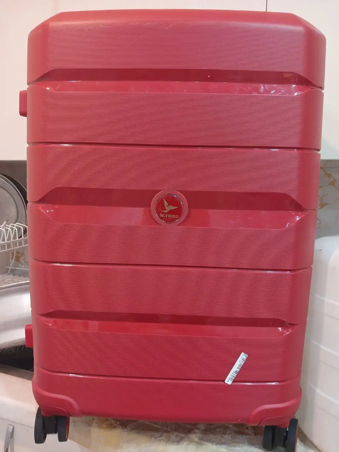 چمدان برند skybird|کیف، کفش، کمربند|کرمان, |دیوار