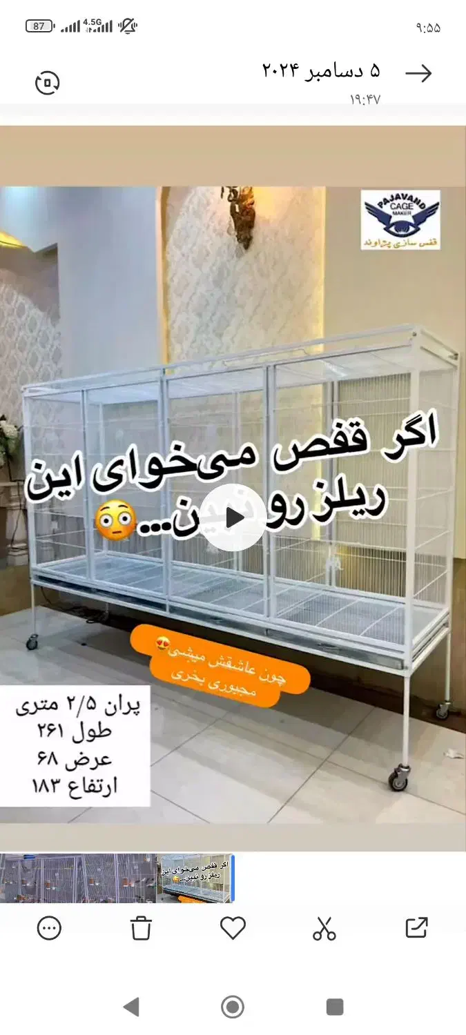 قفس پران بزرگ|لوازم جانبی حیوانات|دوگنبدان, |دیوار