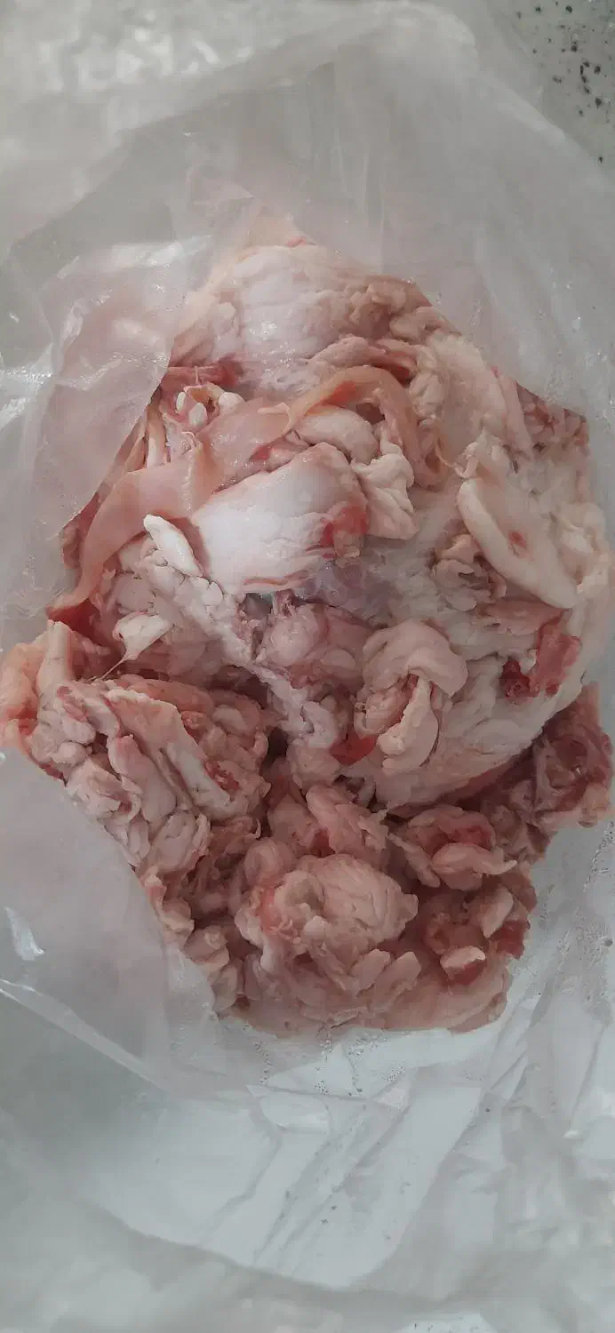 چربی گوشت|لوازم جانبی حیوانات|همدان, |دیوار