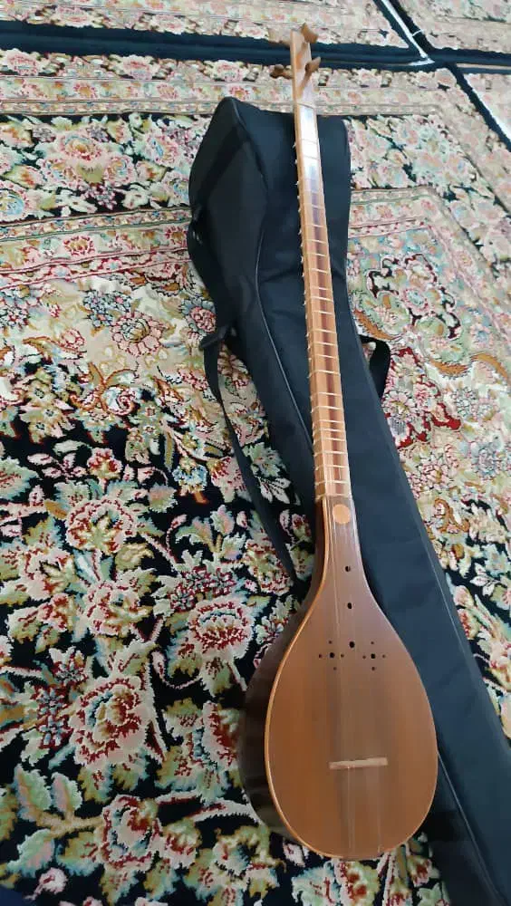 ستارحرفه ای نو و جلد نو بدون ایراد|سازهای سنتی|ملکشاهی, |دیوار