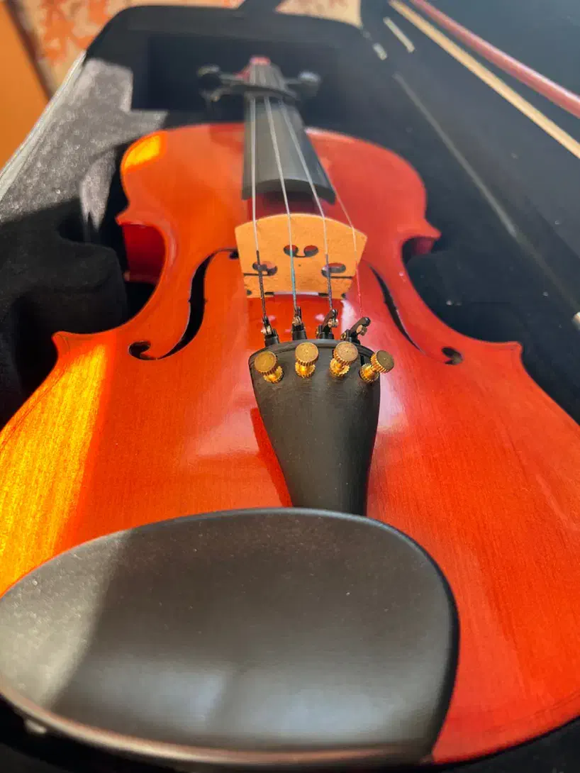 ویالون|ویولن|اصفهان, خانه اصفهان|دیوار