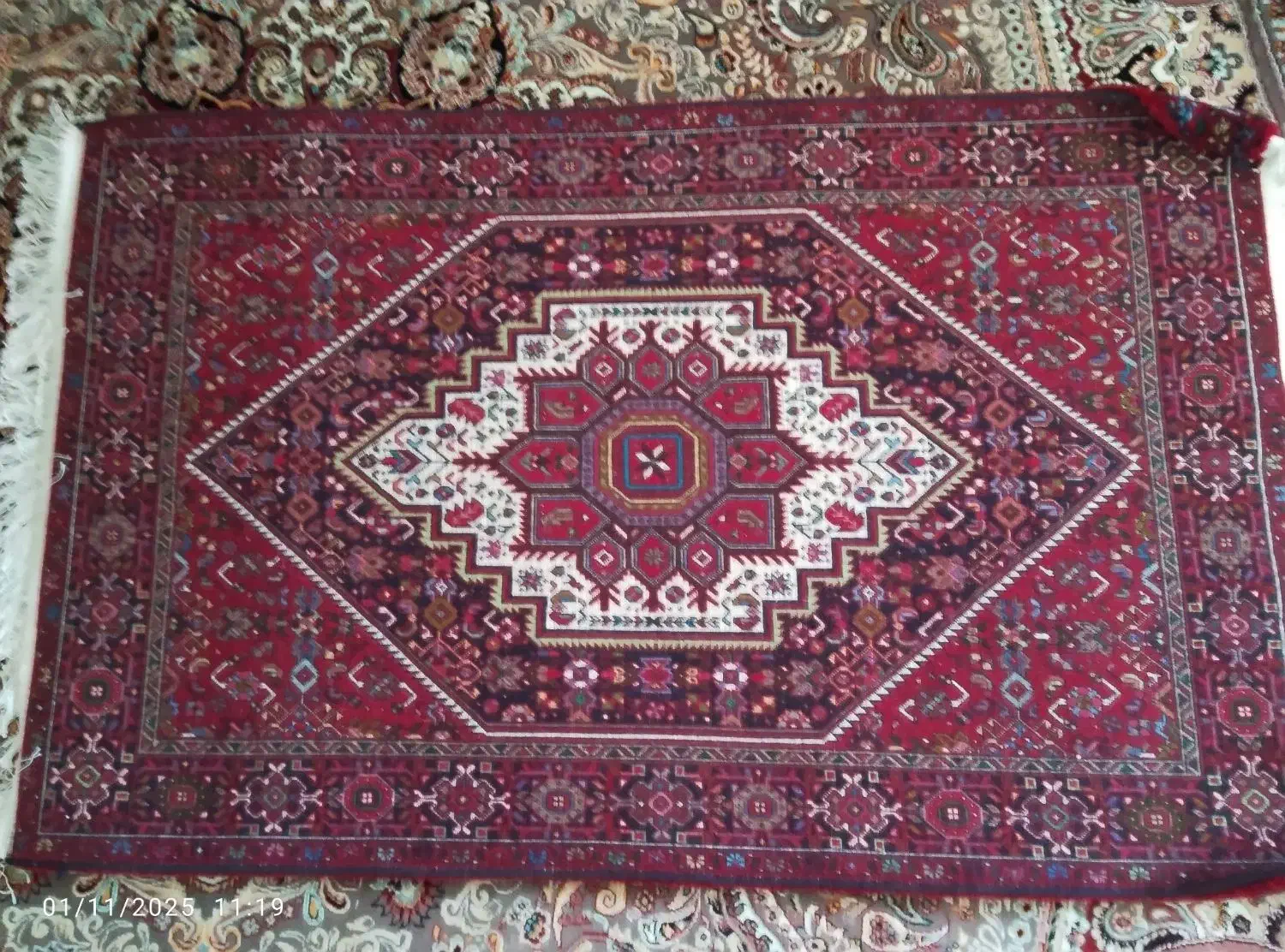 فرش دستباف زرنیم|فرش|زنجان, |دیوار