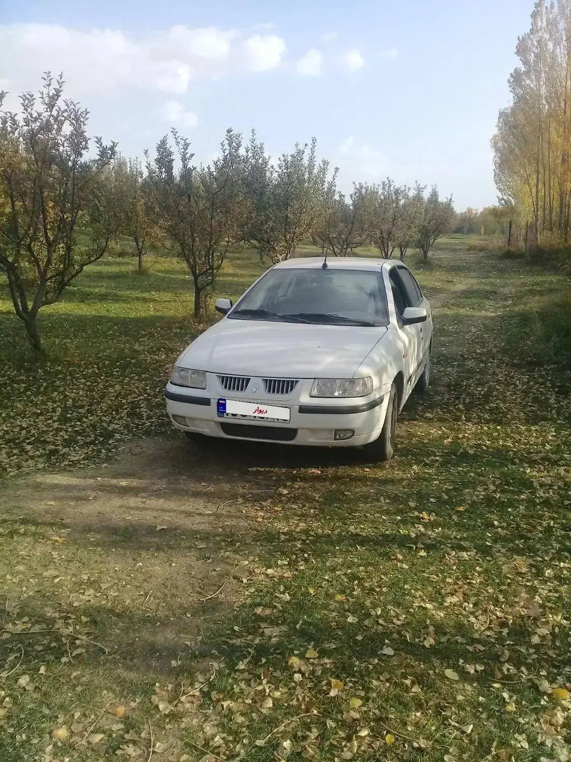 سمند مدل نود|خودرو سواری و وانت|میانه, |دیوار