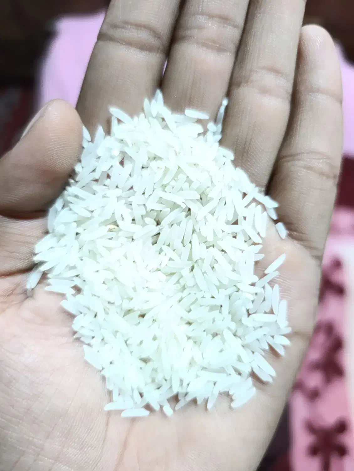 برنج فجر سوزنی|عمده‌فروشی|آزادشهر, |دیوار