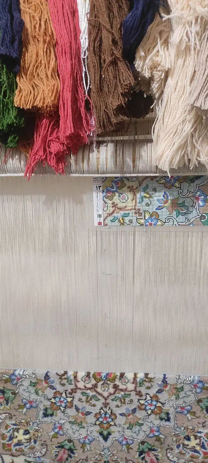 قالی نصفه|فرش|کاشان, مصلی|دیوار