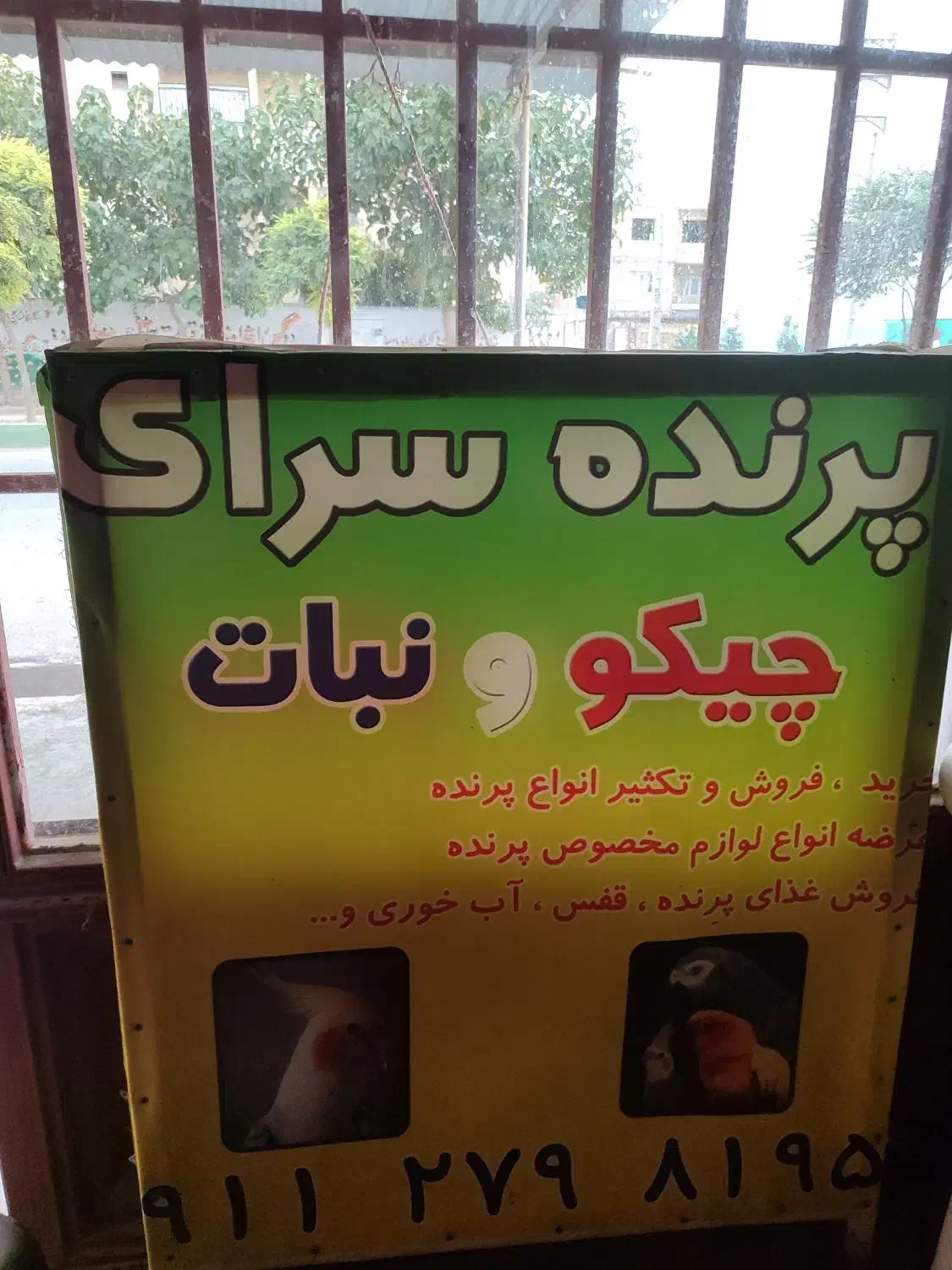 پرنده فروشی|لوازم جانبی حیوانات|گنبد کاووس, |دیوار