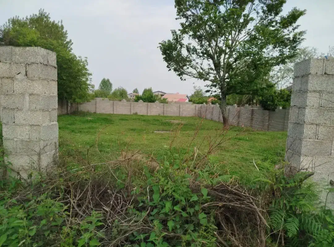 زمین مسکونی۳۵۰متری سنگرسراوان سیاهکل قاضیان کچا|فروش زمین و ملک کلنگی|رشت, بلوار گیلان|دیوار