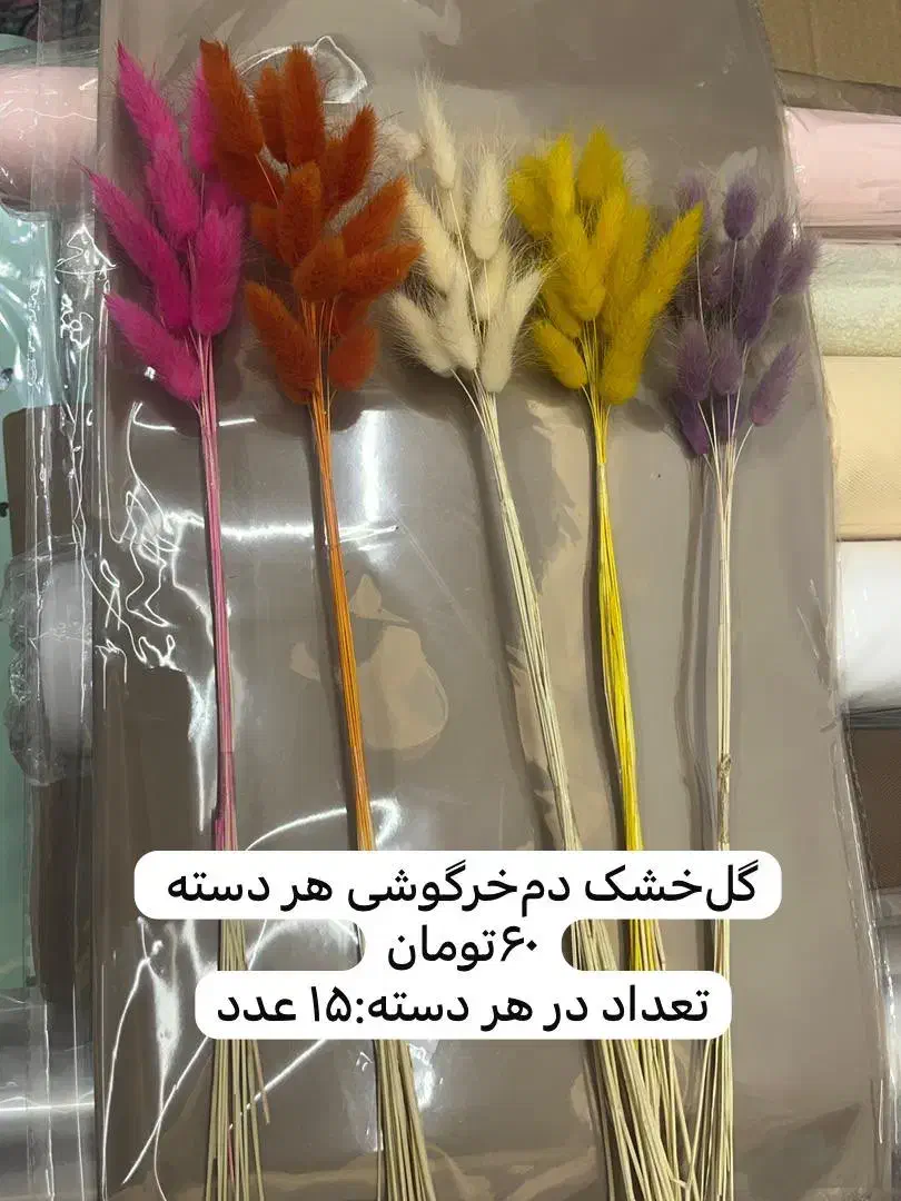 فروش وسایل گل‌آرایی(گلفروشی)|گل و گیاه طبیعی|شیراز, شهرک گلدشت حافظ‎|دیوار