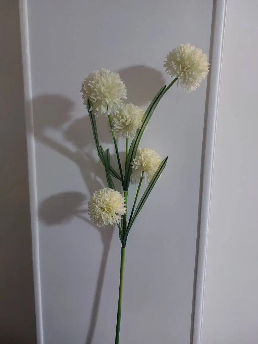 گل داوودی|گل مصنوعی|شهریار, شهریار|دیوار