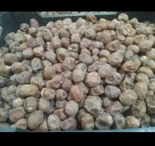 خرما برحی تمیز|عمده‌فروشی|چمران, |دیوار
