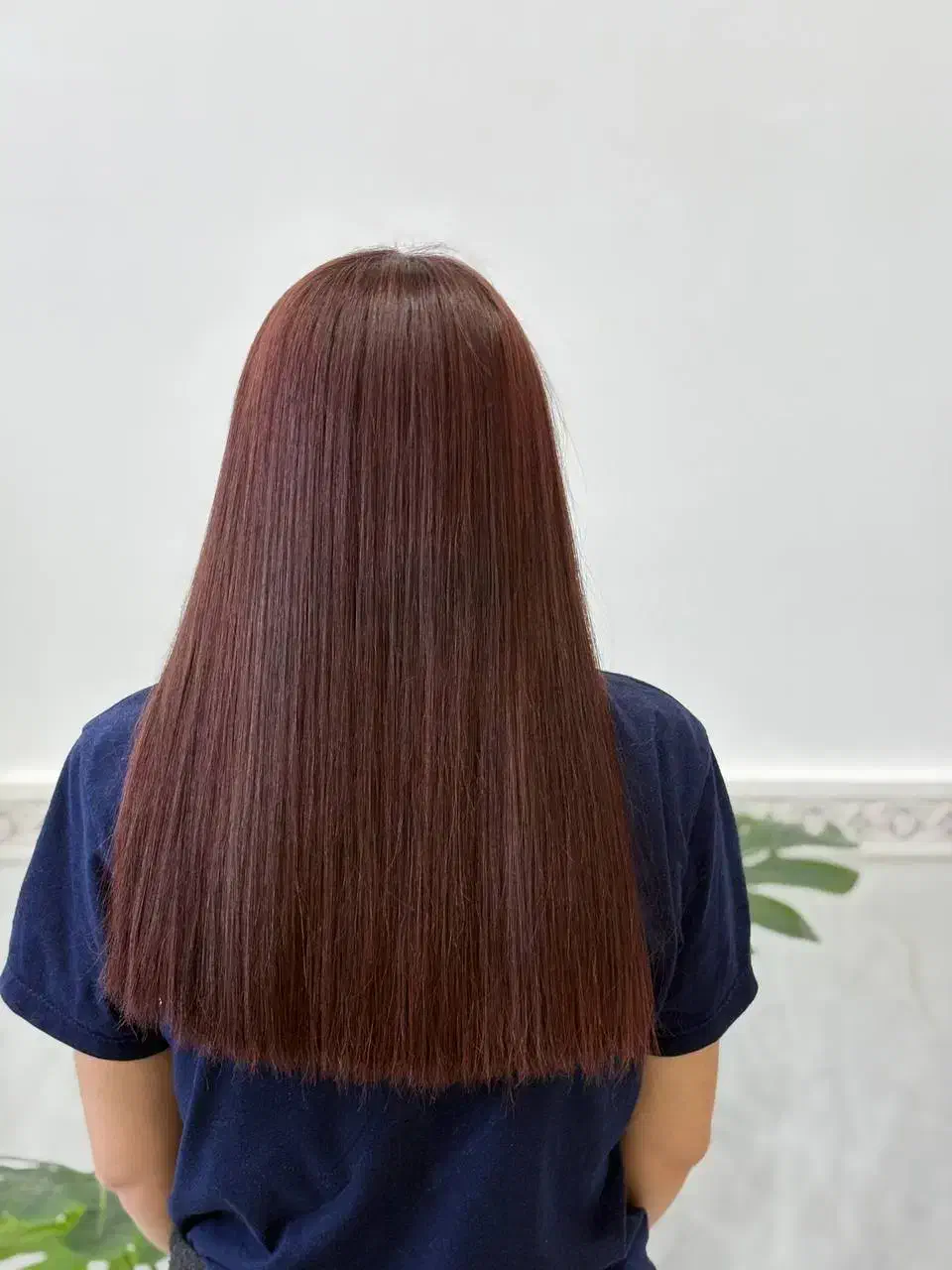 پروتئین تراپی و بوتاکس مو|خدمات آرایشگری و زیبایی|سلماس, |دیوار