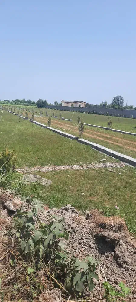 زمین قابل ساخت/سند/ مدارک تکمیل شده|فروش زمین و ملک کلنگی|دابودشت, |دیوار