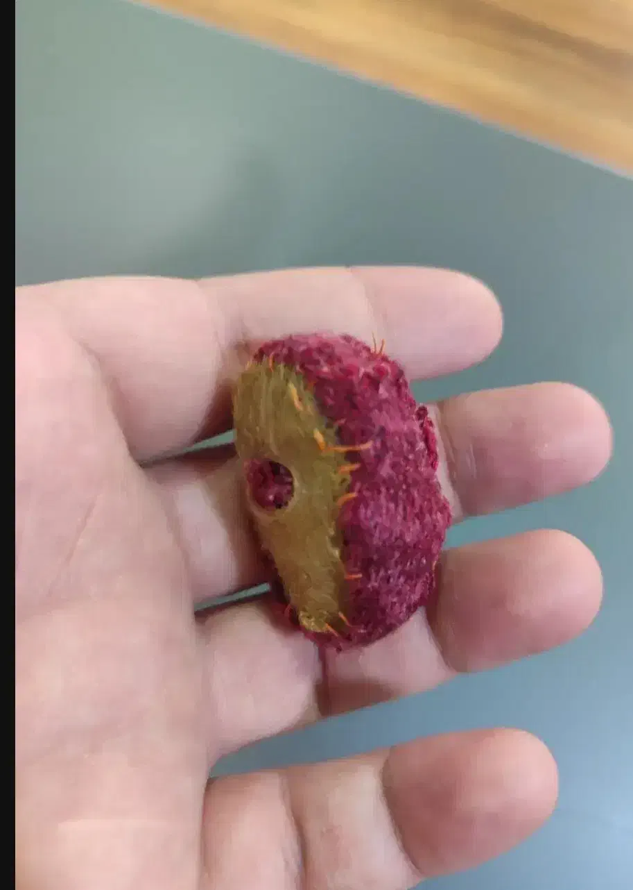 فروش جواهر بسیار ارزشمند و اصل|جواهرات|فردیس, خیام شرقی|دیوار