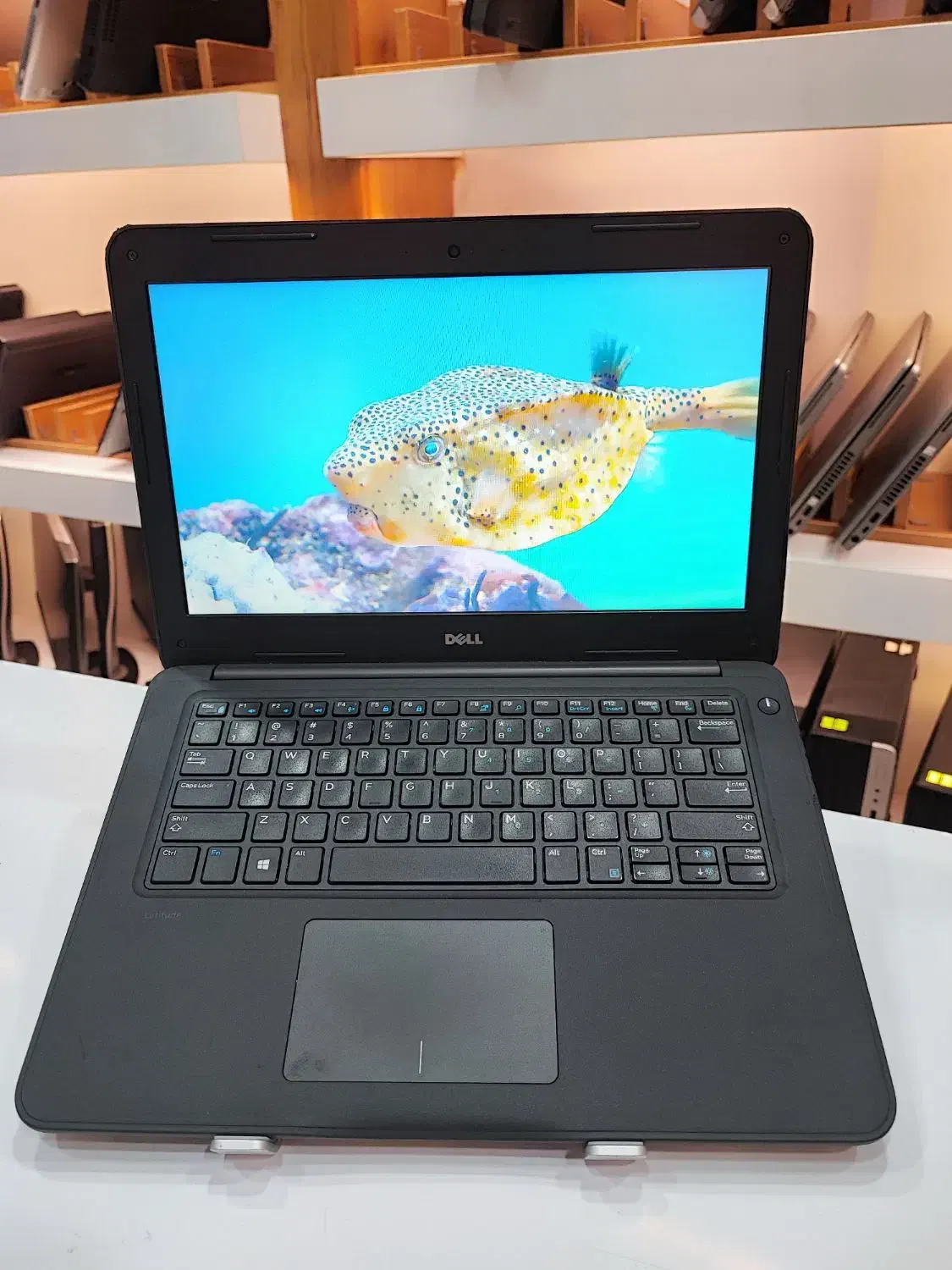 لپتاپ دل ۳۳۸۰، رم ۸، حافظه ۲۵۶، پردازنده i3 نسل ۶|رایانه همراه|بوشهر, |دیوار