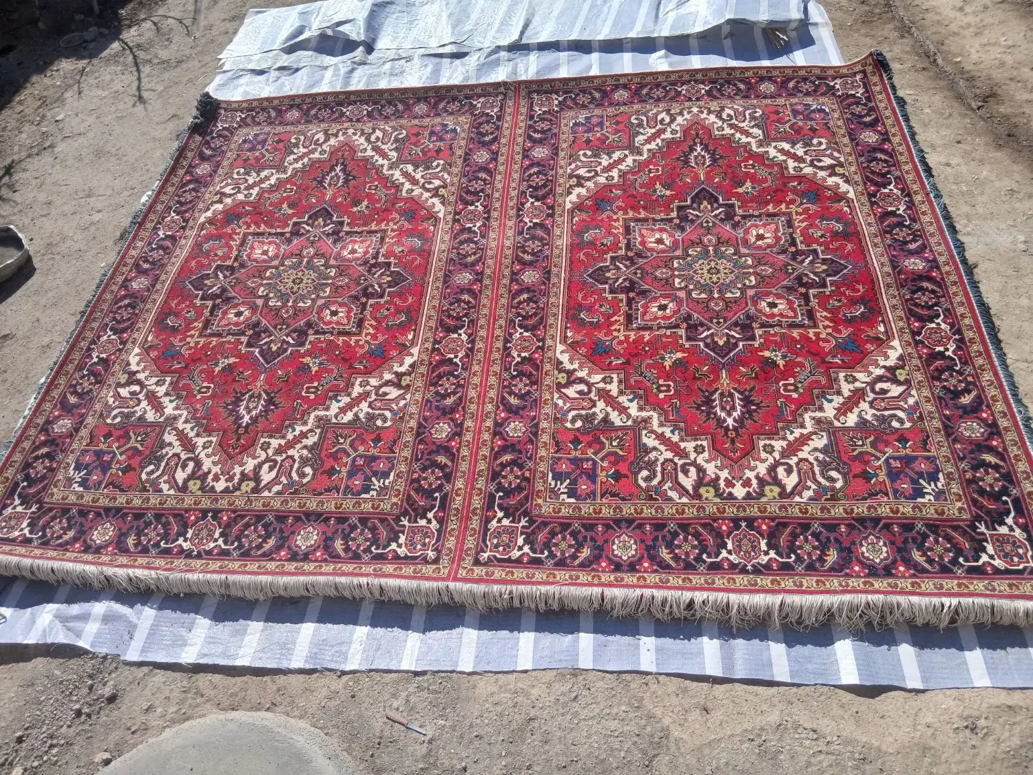 هریس تاجری|فرش|تبریز, |دیوار