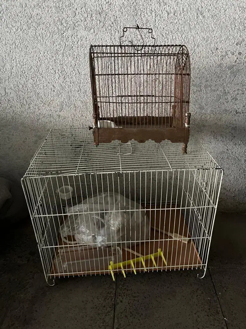 قفس سره  قفس پرنده|لوازم جانبی حیوانات|تهران, حافظیه|دیوار