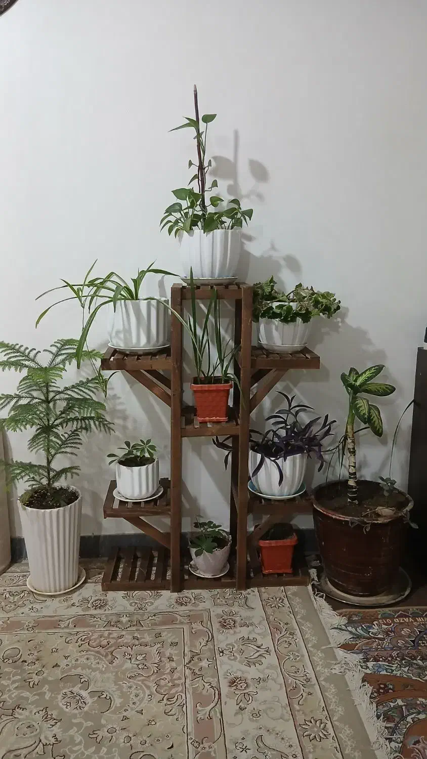 استندگل رگال لباس جاکفشی|صنایع دستی و سایر لوازم تزئینی|فامنین, |دیوار