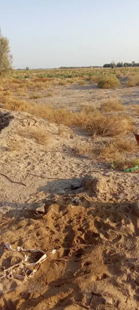 زمین کشاورزی|اجارهٔ دفتر صنعتی، کشاورزی، تجاری|بزمان, |دیوار