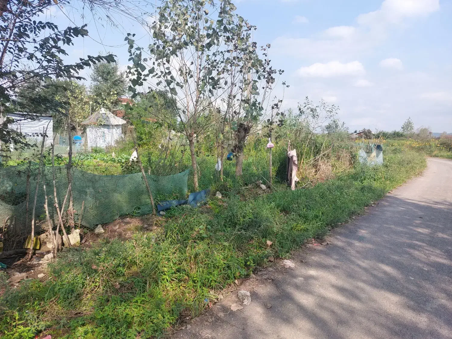 زمین کاربری مسکونی بر خیابون زیر قیمت|فروش زمین و ملک کلنگی|رشت, سلیمانداراب|دیوار