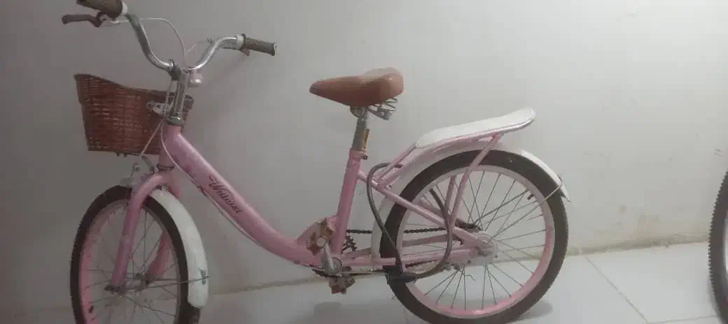 دوچرخه دخترونه|دوچرخه، اسکیت، اسکوتر|شیراز, شهرک فرهنگیان|دیوار