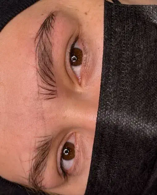 میکروبلیدینگ میکروپیگمنتیشن|خدمات آرایشگری و زیبایی|رشت, دیلمان|دیوار