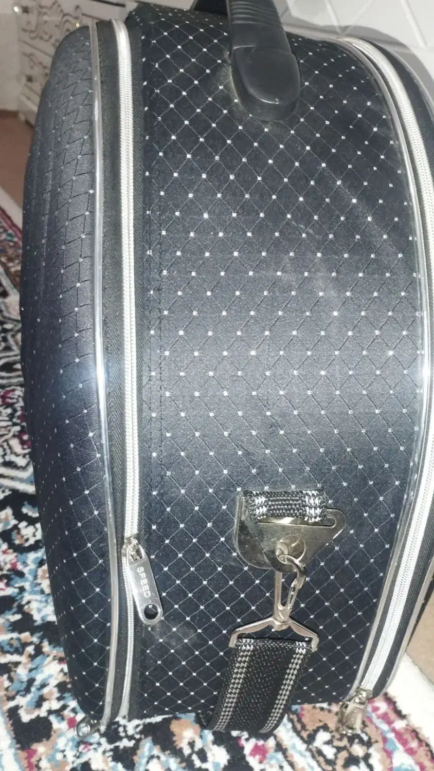 چمدان سالم چمدان|کیف، کفش، کمربند|قم, قلعه کامکار|دیوار